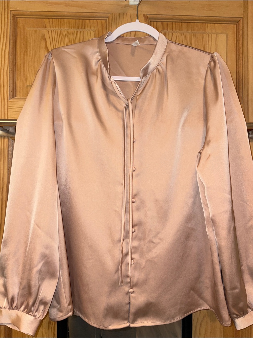 Tie Front Long Sleeve Work Shirt Blush Halara Sz M